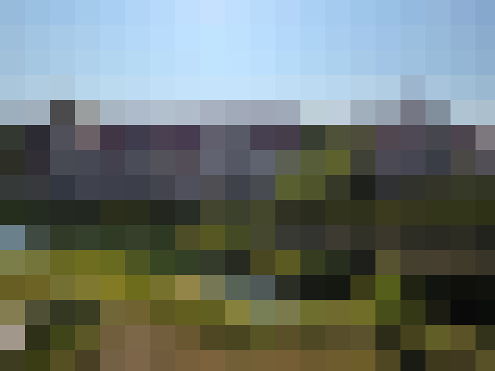 Image 26
