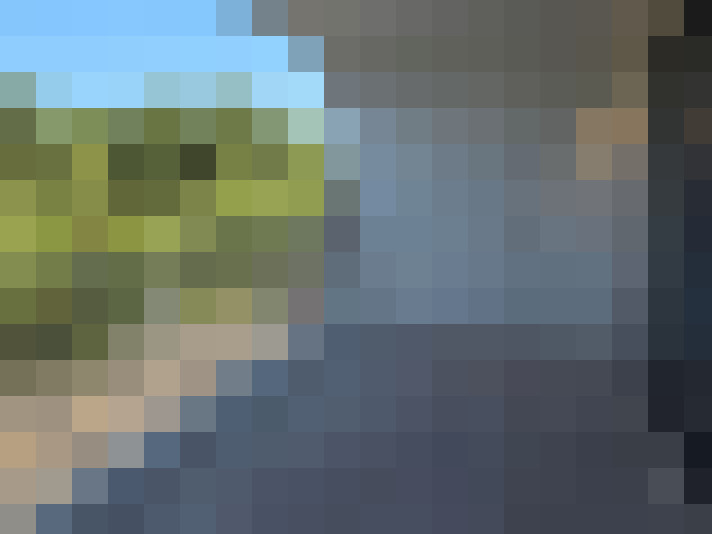 Image 22