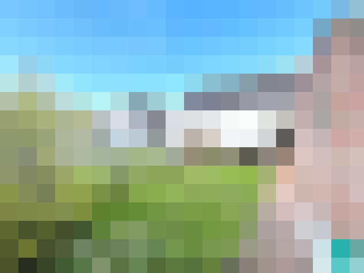 Image 17