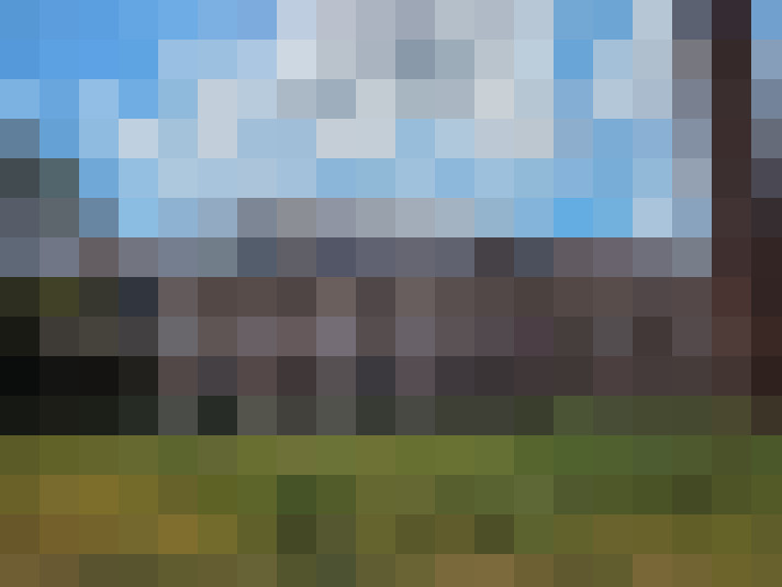 Image 22