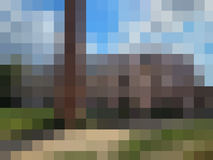 Image 23