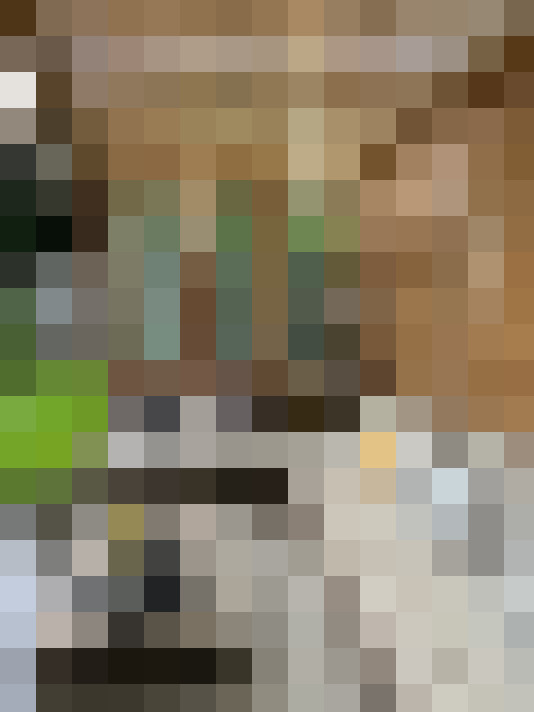 Image 14