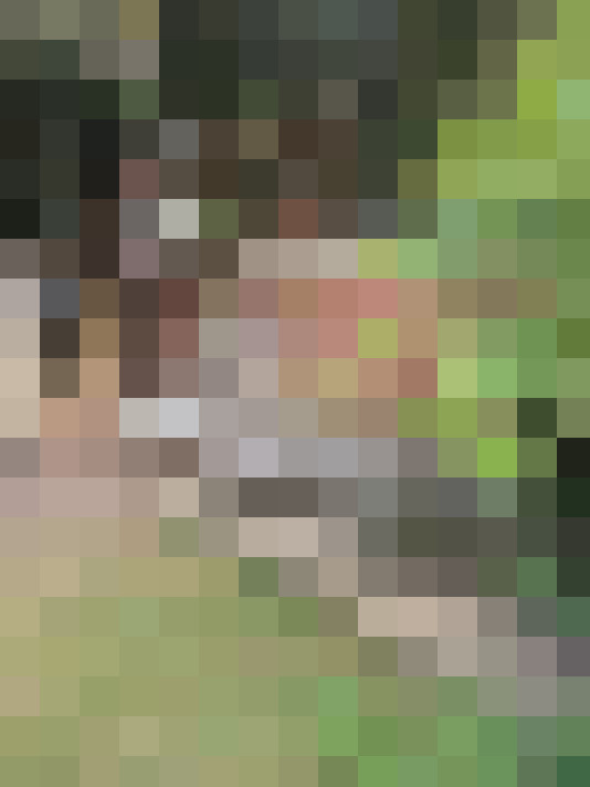 Image 17
