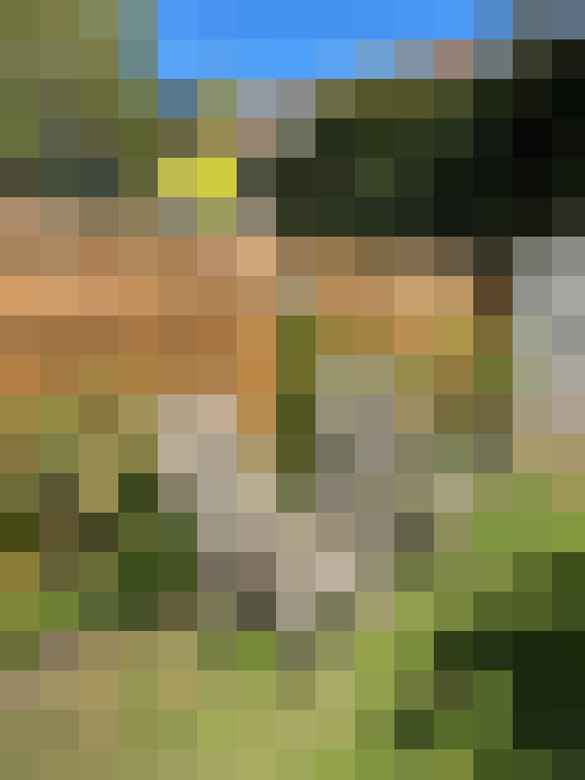 Image 18