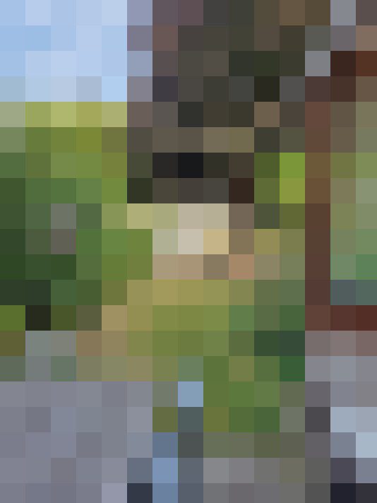 Image 16