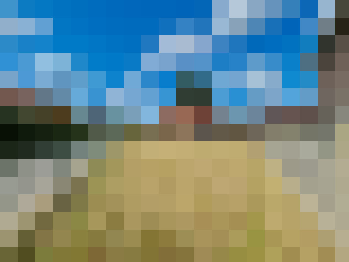 Image 15