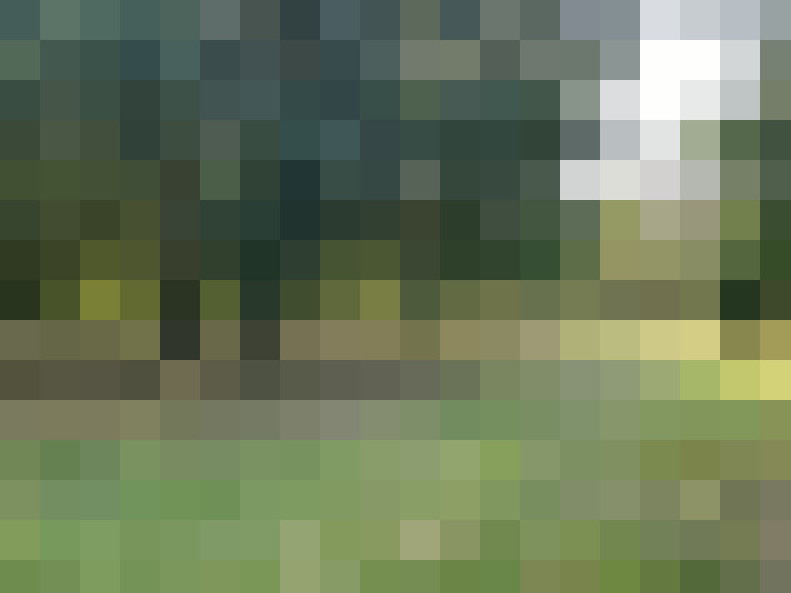 Image 42