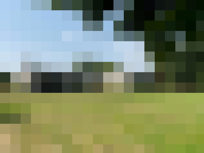 Image 53