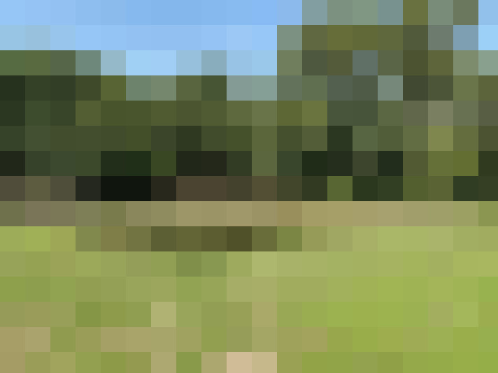 Image 48
