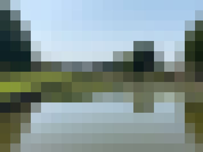 Image 50