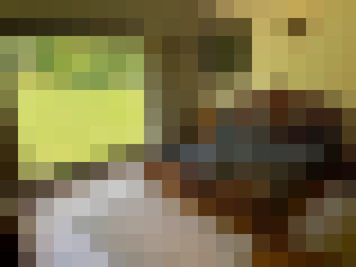 Image 27
