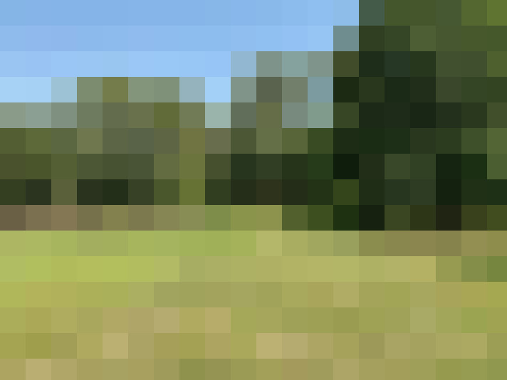 Image 39