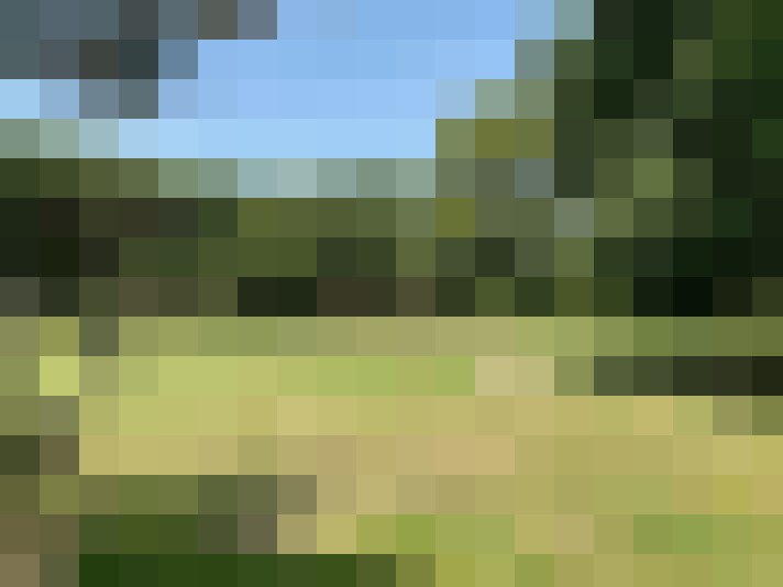 Image 44