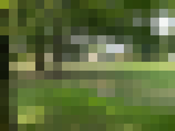 Image 51