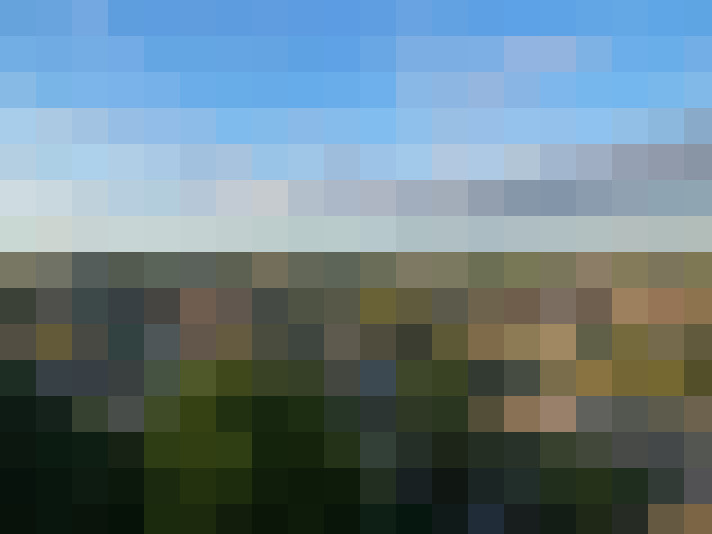 Image 24