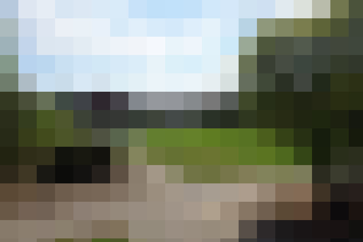 Image 20