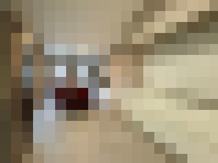 Image 17