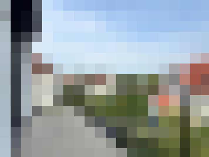 Image 13