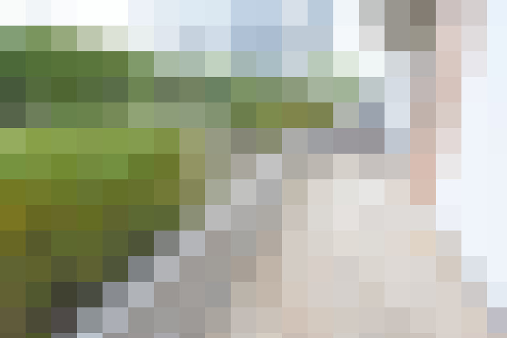 Image 15