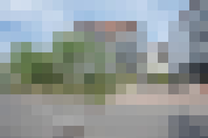 Image 14