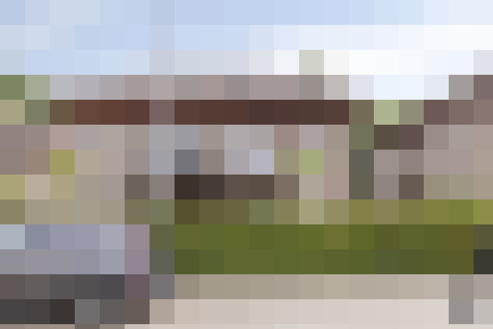 Image 23