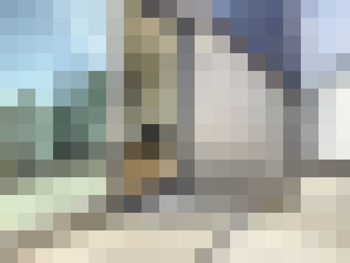 Image 13
