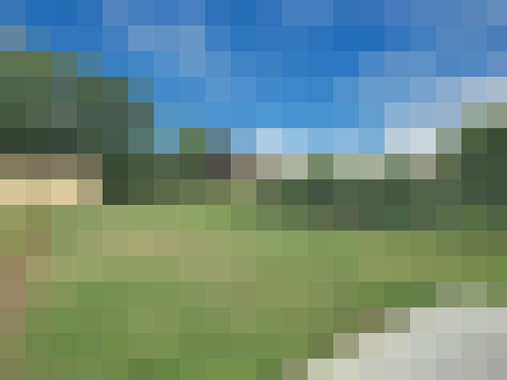 Image 23