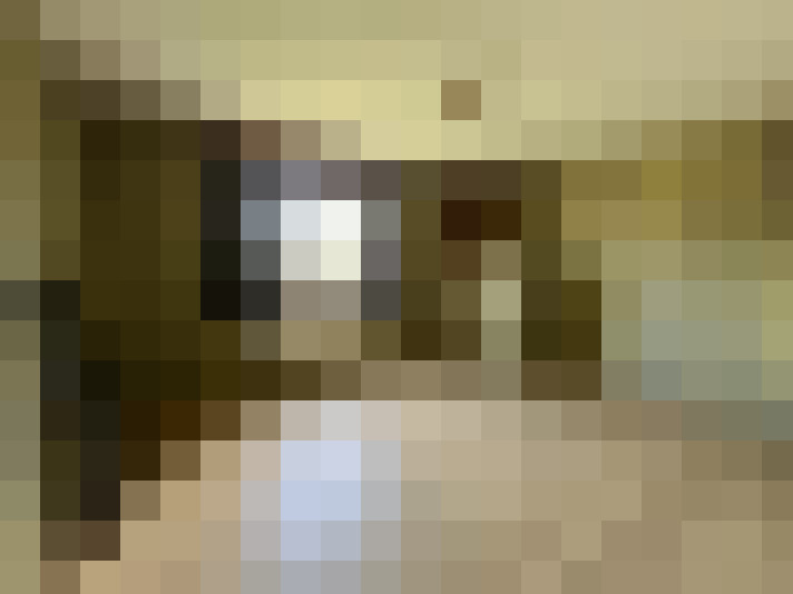 Image 14