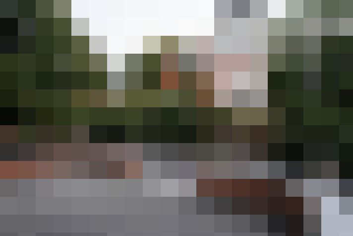 Image 24