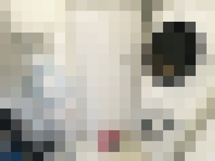 Image 20