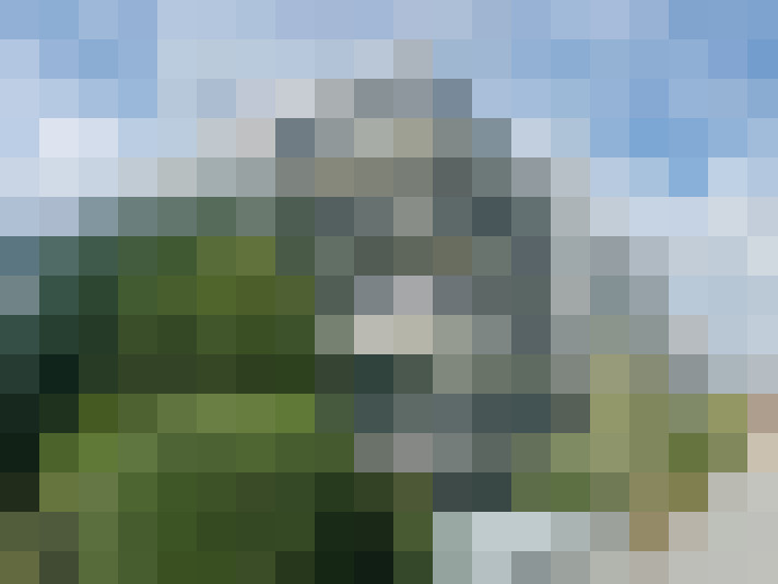 Image 25