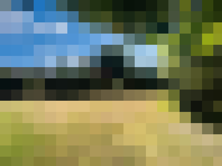 Image 28
