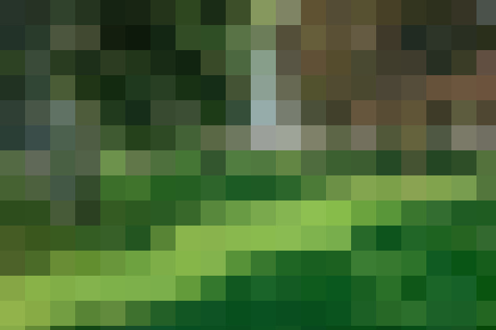 Image 17
