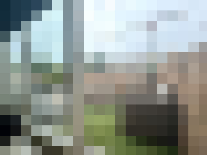 Image 13