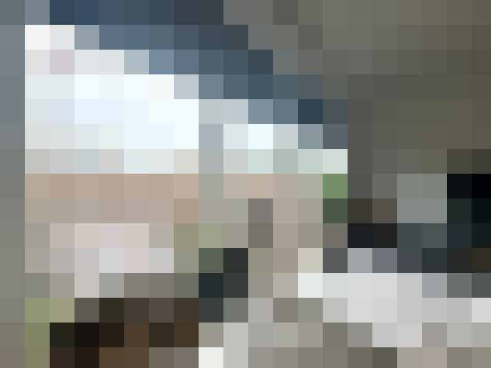 Image 12