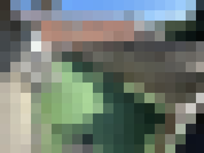 Image 20