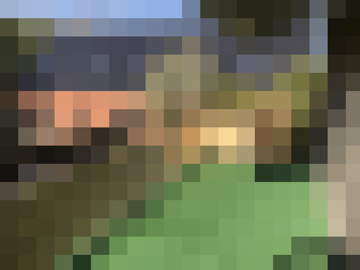 Image 17