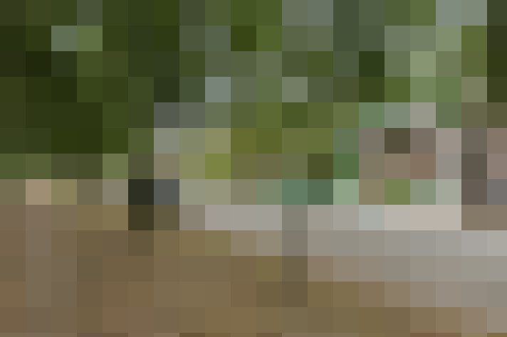 Image 28