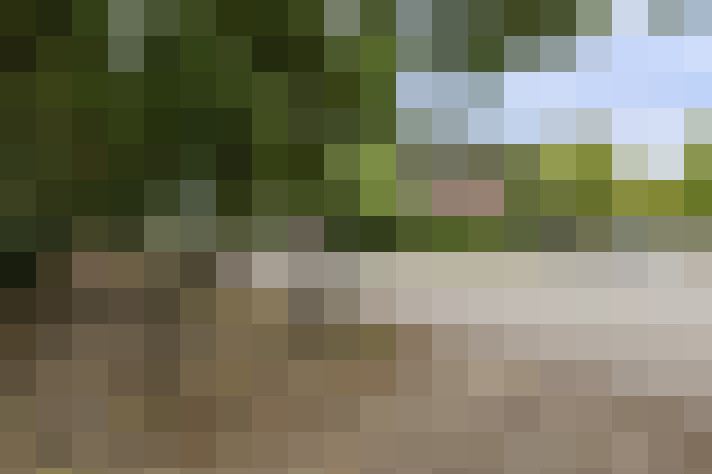 Image 31