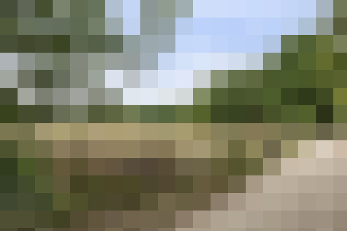 Image 33