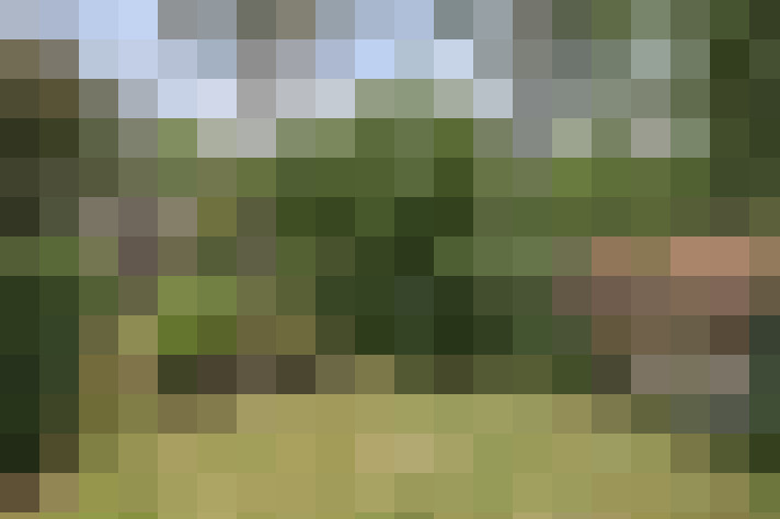Image 23