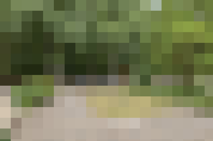 Image 30