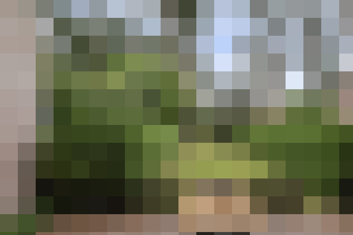 Image 17