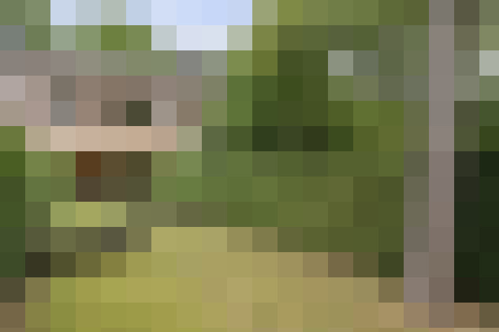 Image 22