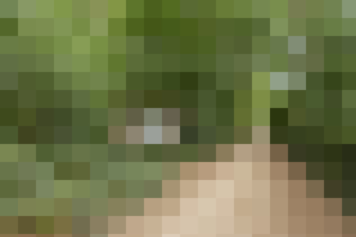 Image 32
