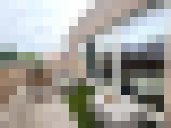 Image 15