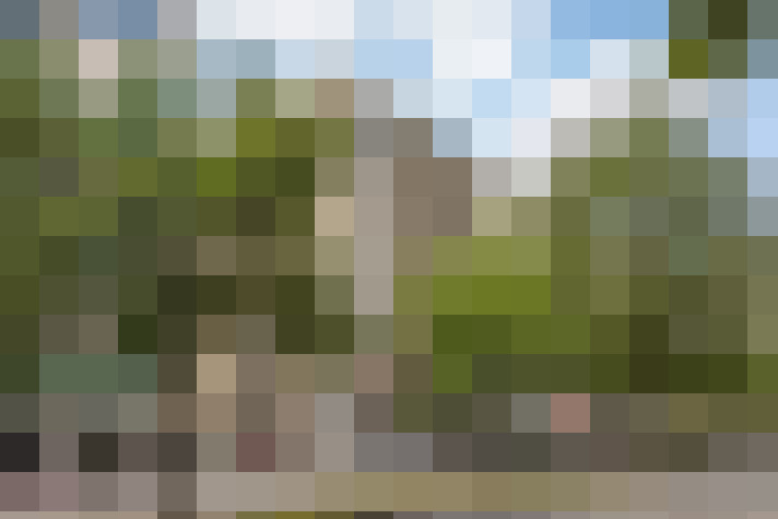 Image 14