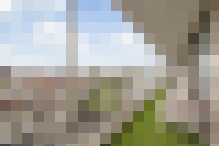 Image 13
