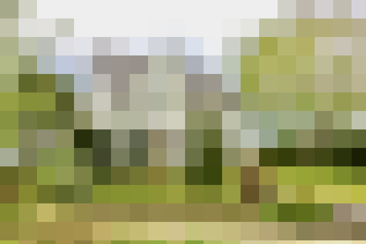 Image 24