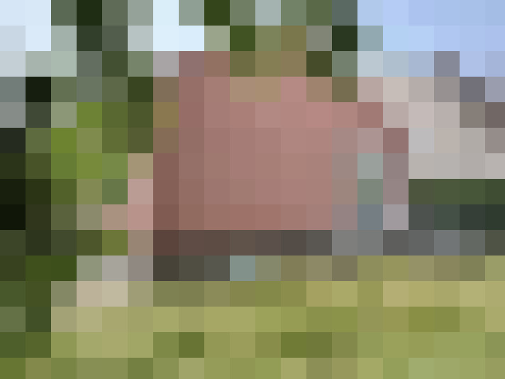 Image 14